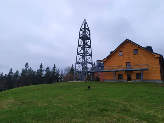 The Golden View - Apartments