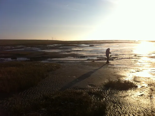 Ferienwohnung von Luehmann
