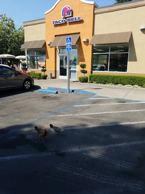 Taco Bell