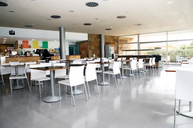 Vidingrest Marratxí