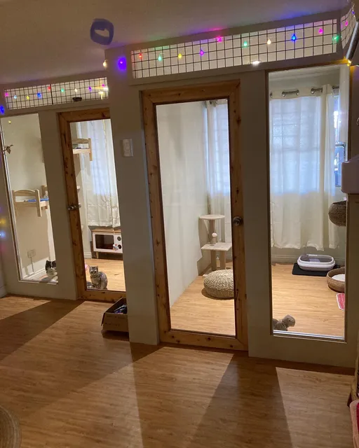 Dluxe Pet Hotel and Spa