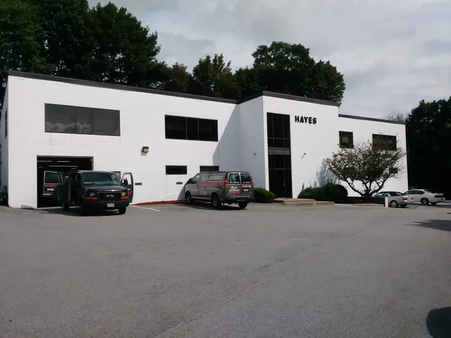 Hayes Instrument Services