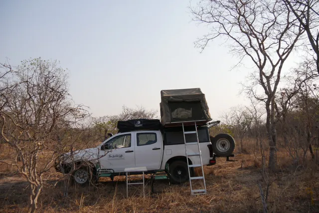 The Wild Life Africa