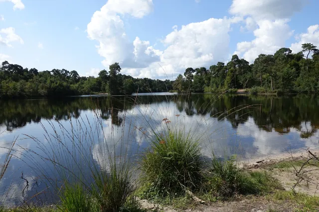 ParckVen Chalets en B&B in Oisterwijk, Noord-Brabant