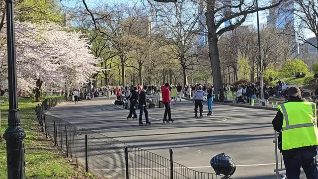 Skater's Circle