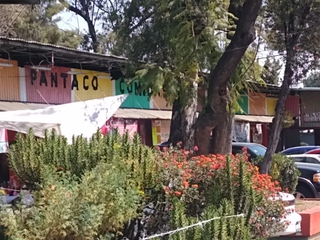 Mercado pantaco comidas