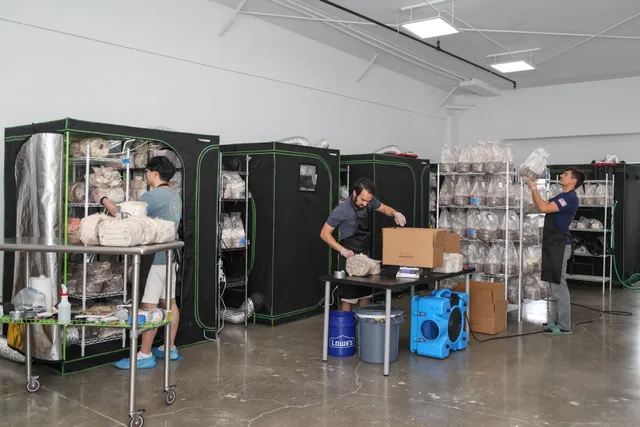 Westchester Mushroom Co.