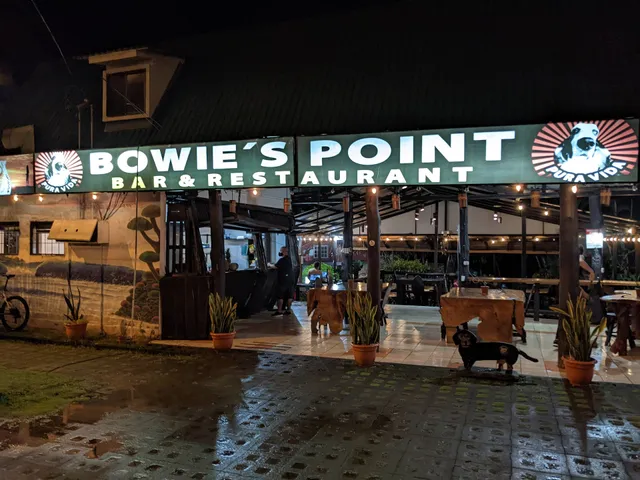 Bowie's Point