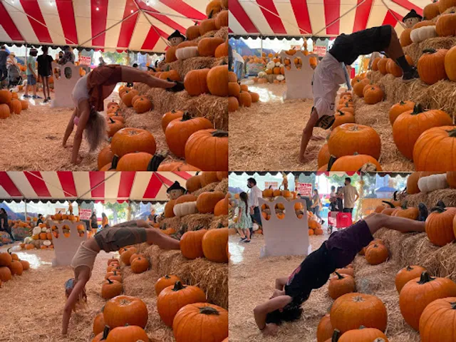 Pasadena Pumpkin Patch by Taghavi Farms