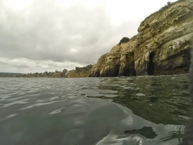 Scuba Diving San Diego