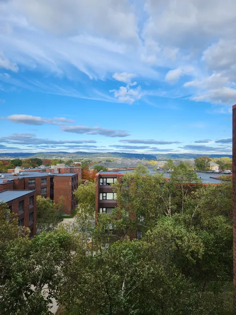 College In The Woods