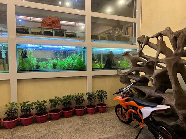 Taste and Cups by Joanna C.