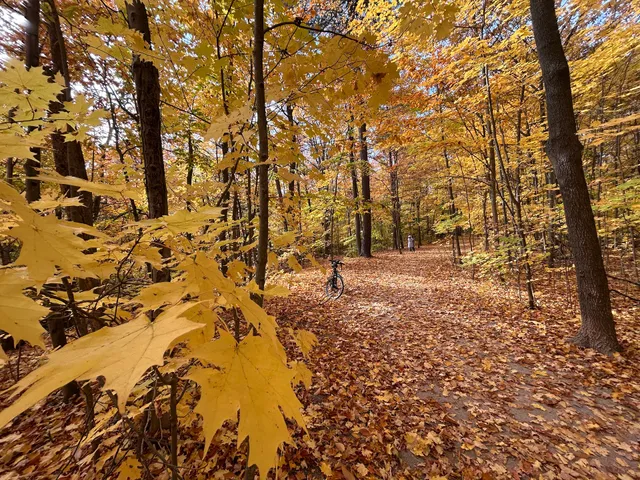 Sugar Maple Woods Trail