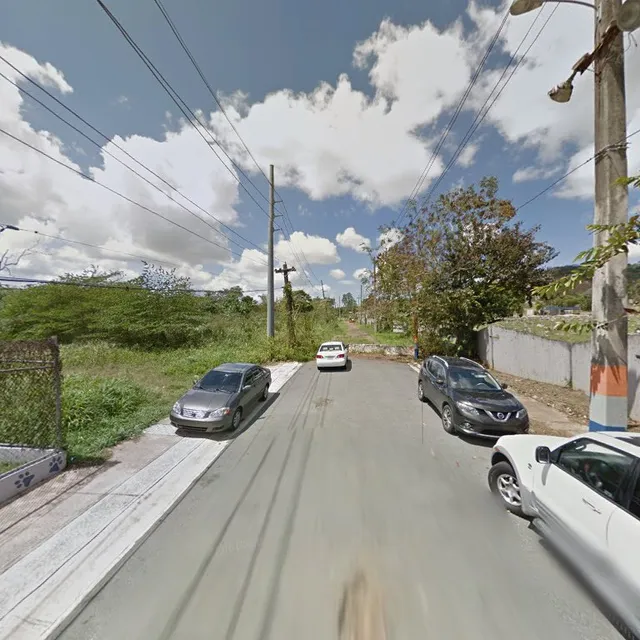 Sociedad Protectora de Animales - Animal Protection Society