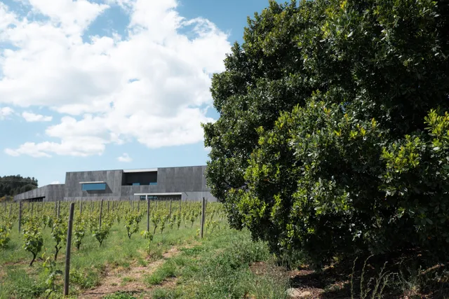 Lavradores de Feitoria - Vinhos de Quinta S.A.