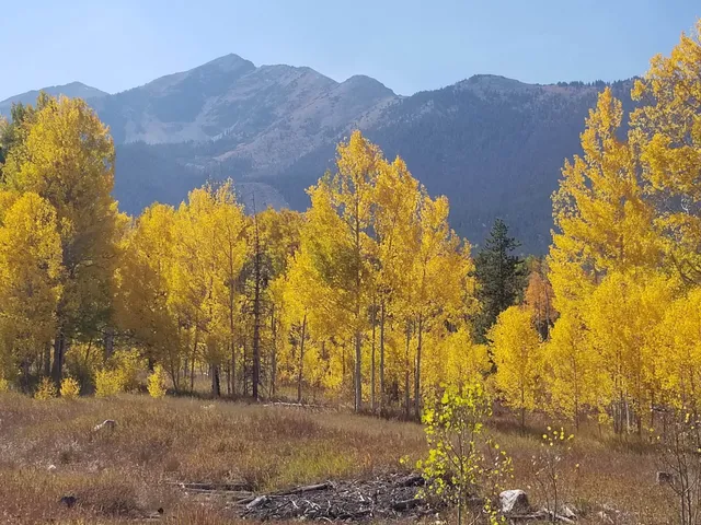 Miners Creek Trail Head