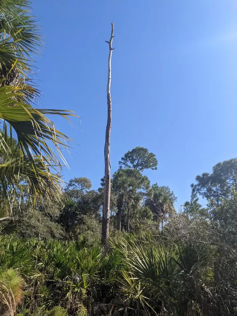 Charlotte Harbor Preserve Nature Walk
