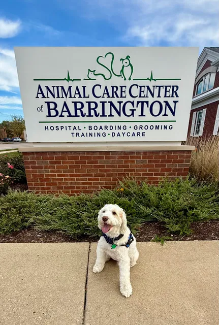 Animal Care Center of Barrington & Dental Referral Service