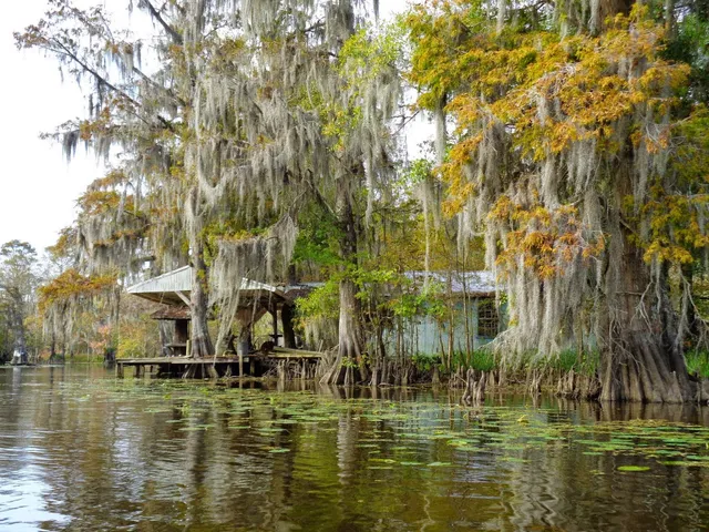 Louisiana Lost Lands Environmental Tours, L3C