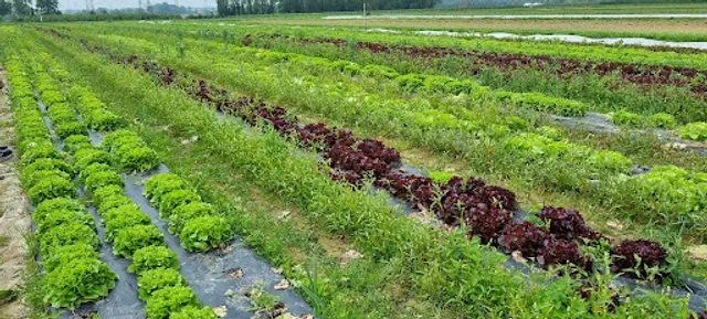 Ferme le Grand Viltain