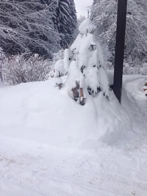 Bickels Ferienwohnungen