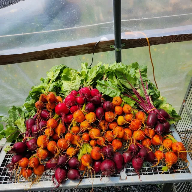 Community Artisan & Farmers Market