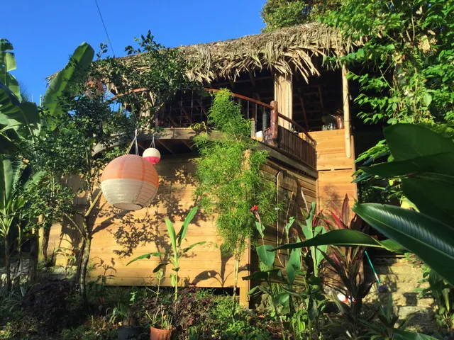 Jungle Treehouse By the Sea