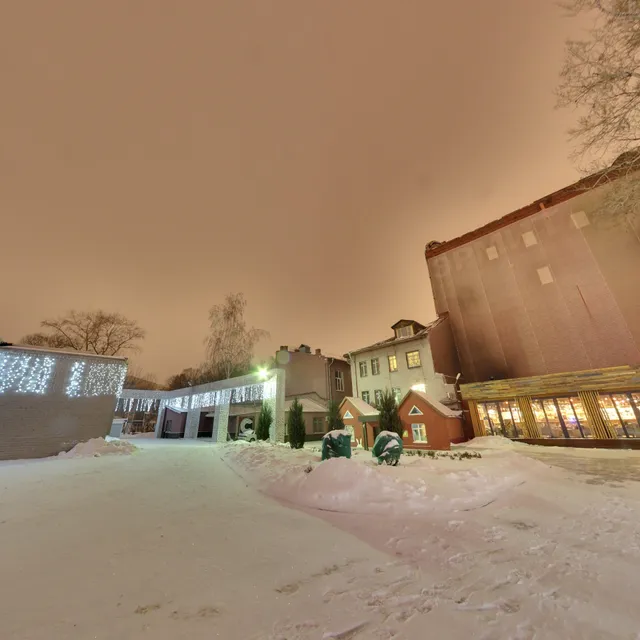 Ice skating rink at the Hermitage Garden