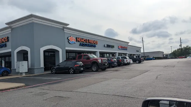 Nemo & Friends Aquariums