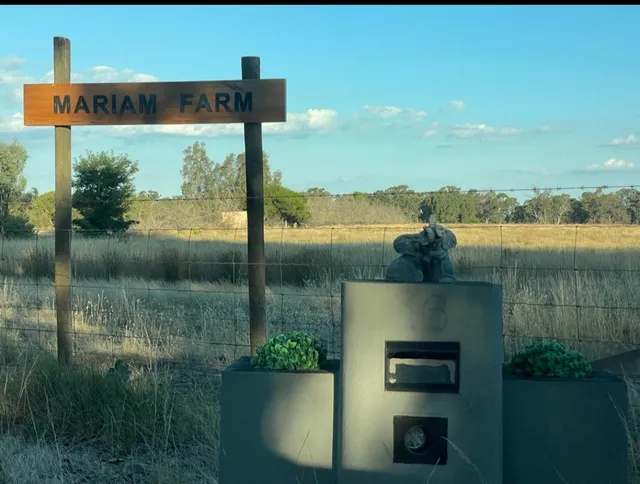 Mariam farm Stay / Glamping