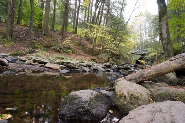 Wyantenock State Forest