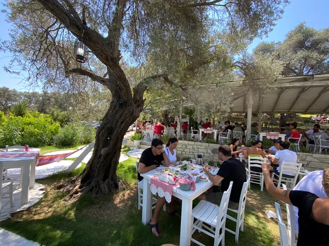 Zeytinaltı kahvaltı Alaçatı