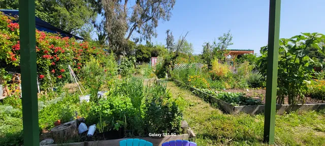 El Sereno Community Garden
