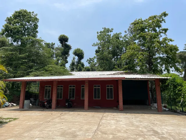 Robin woods homestay