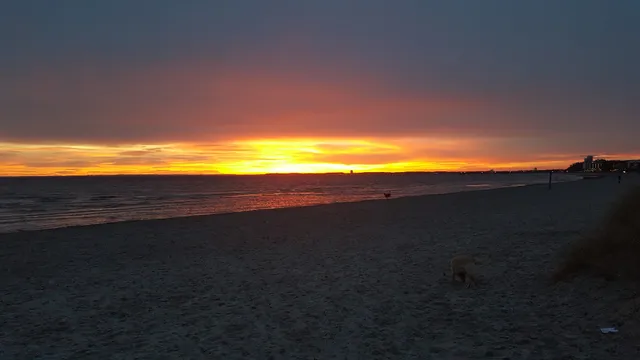 Appartementhaus Sandkörnchen