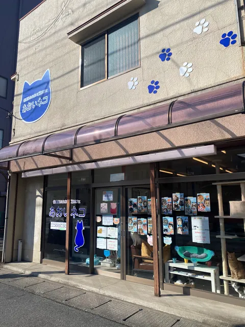 保護猫カフェ あおいネコ