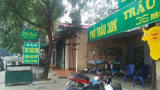 Trâu Giật Xứ Thanh - Phở Sành