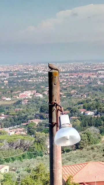 Affittacamere Il Poggio