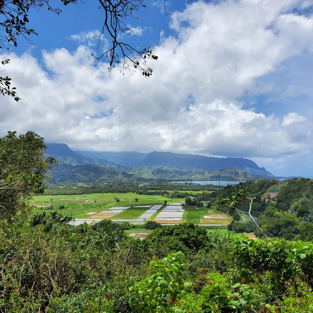 Hanalei National Wildlife Refuge Viewpoint