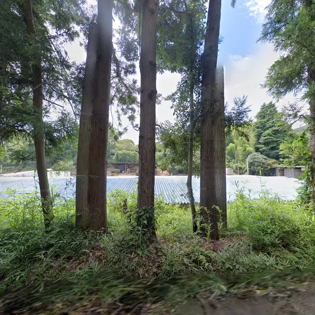 石岡観光植物園演芸会館