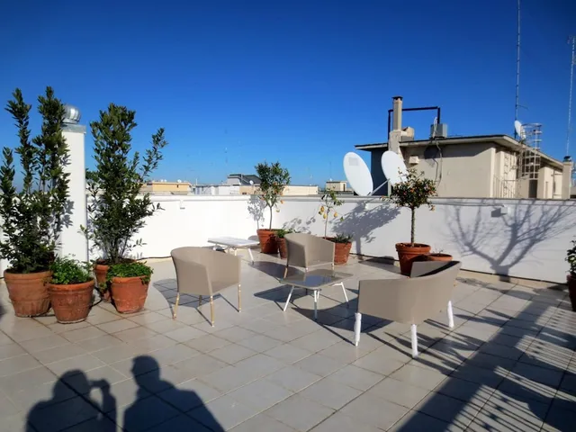 Gatto Bianco Le Terrazze