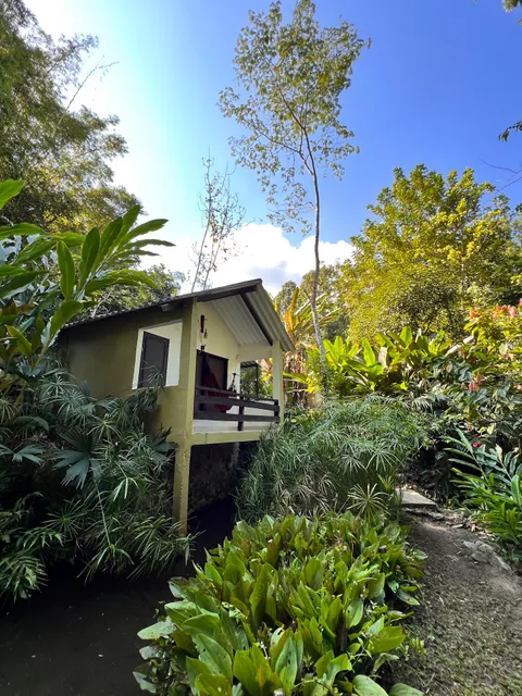 Reserva Biologica Caoba