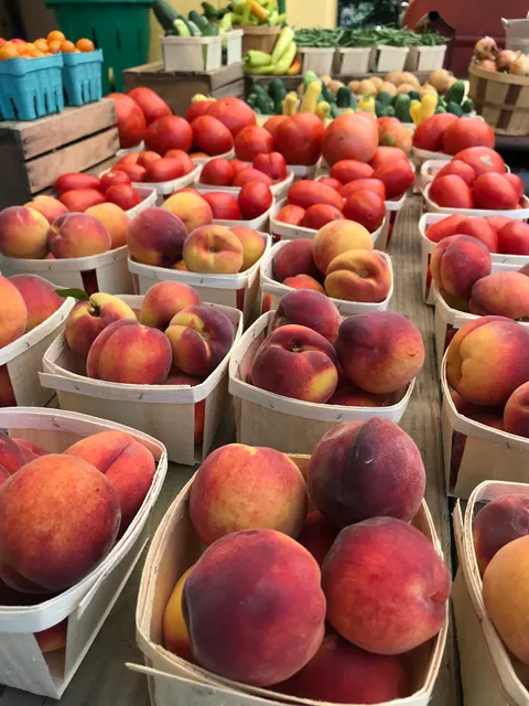 The Jefferson Corn Stand: Willow Springs Produce