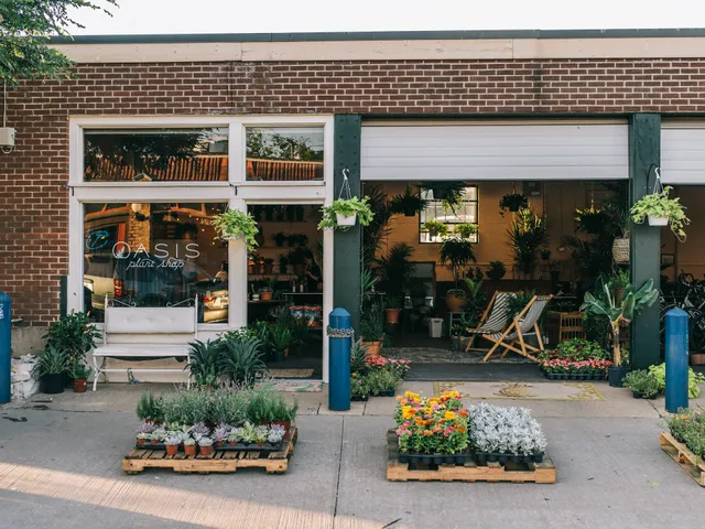 Oasis Plant Shop