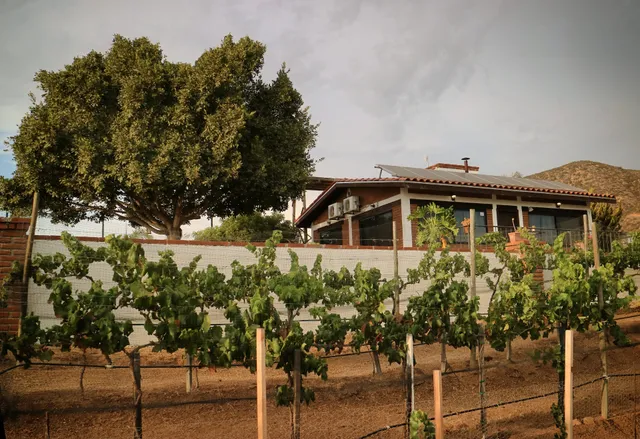 Quinta Sofia Valle Guadalupe