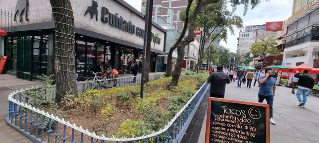 Cuidado con el Perro