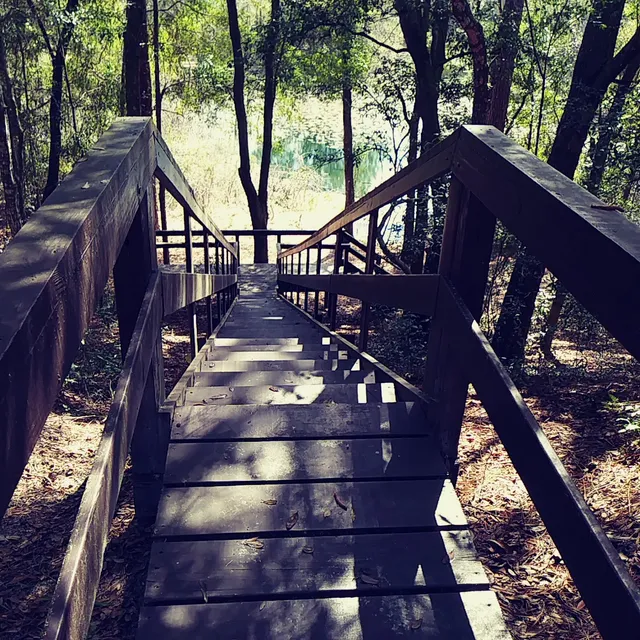 Mutual Mine Campground