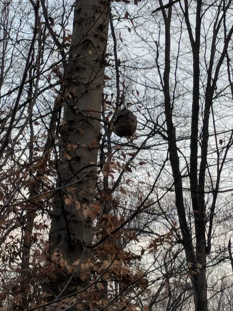 PA State Game Lands 83