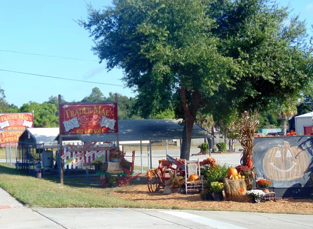 Trader Mae's Decor Market