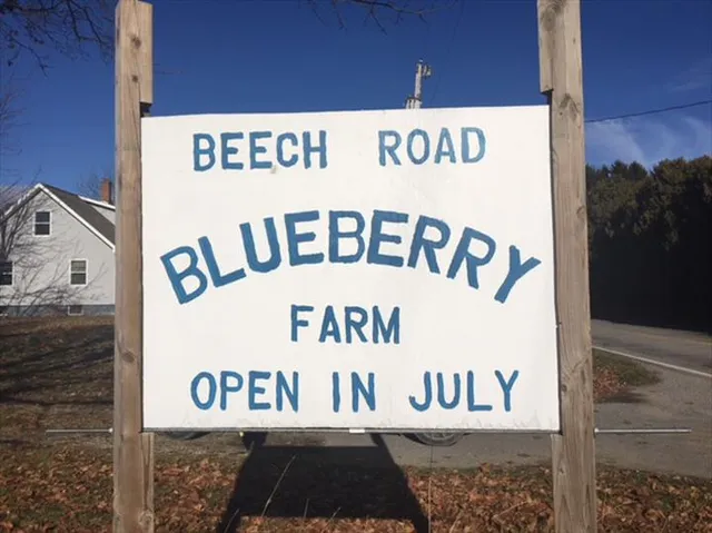 Beech Road Blueberry Farm